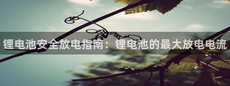 凯时网上官方网站