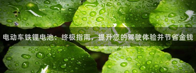 尊龙凯时投诉最狠的方法