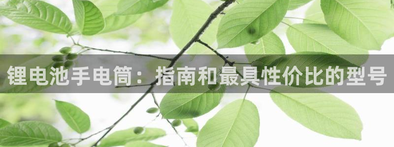 尊龙凯时发展历程