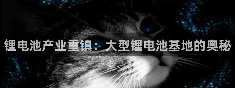 尊龙服饰有限公司地址