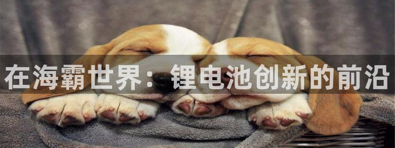 尊龙凯时泰安