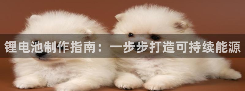尊龙凯时app安装