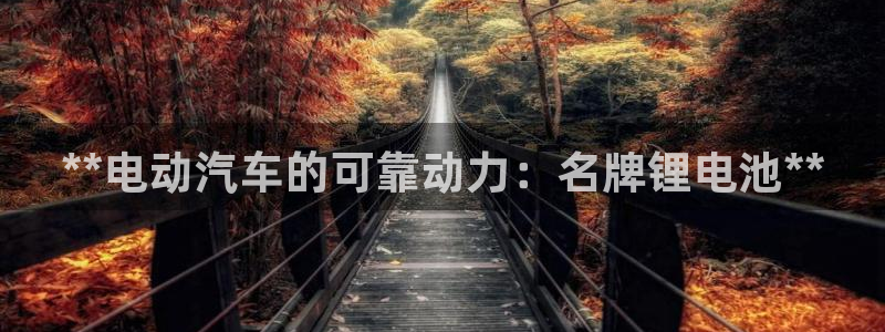 尊龙人生就是博首页入口