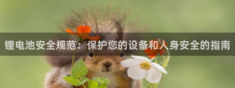 尊龙凯时这个平台怎么样