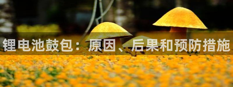 尊龙饰演过的经典角色