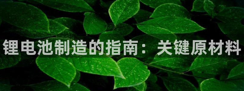 尊龙凯时可以提现吗