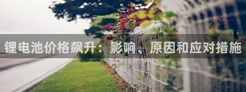 凯时kb88公司简介