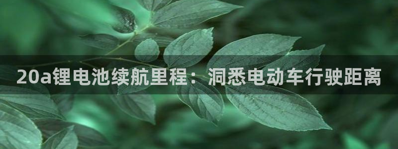 尊龙d88现金旧版本