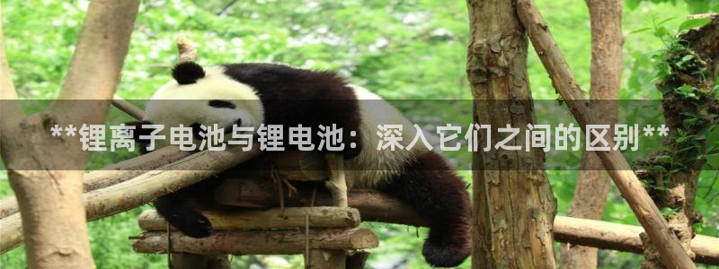 尊龙游戏官网游戏特色