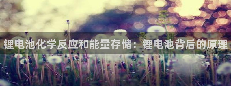 z6com尊龙凯时