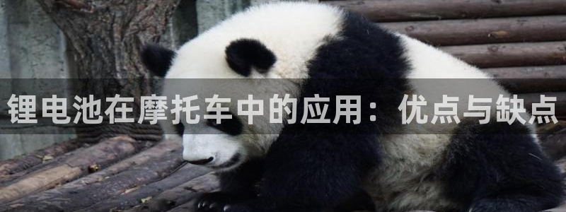 AG尊龙登陆网址