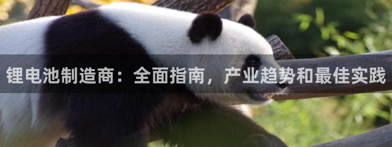 尊龙凯时的钱能退回来吗