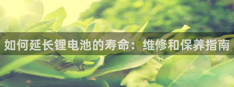尊龙内地