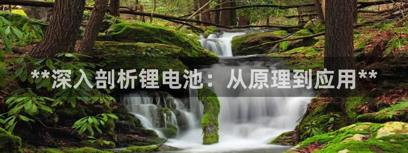 尊龙官网APP下载