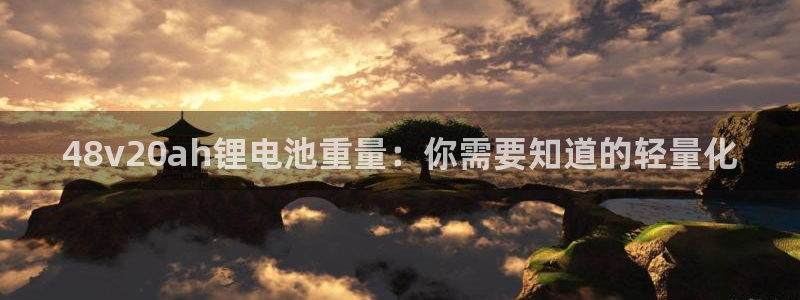 尊龙凯时vip