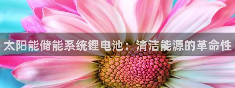 尊龙凯时网站怎么样