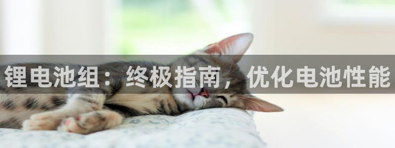 尊龙人生就是博旧版现