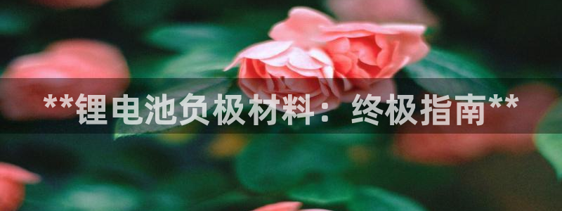 尊龙D88现金旧版