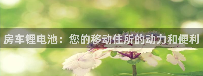 尊龙 6