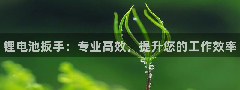 尊龙app下载官网