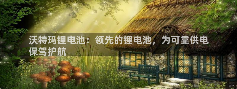 尊龙凯时企业文化