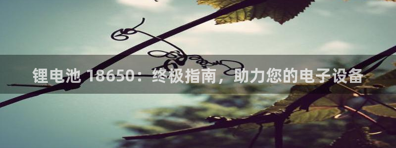z6尊龙官网