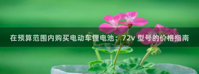 尊龙官方网站是真的吗