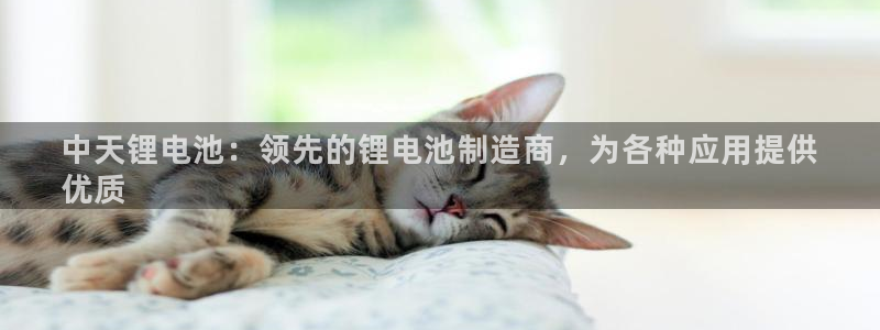 尊龙ag旗舰厅官网·(中国)官方入口