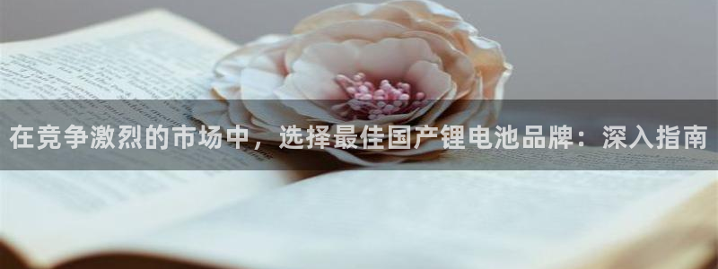 z6com尊龙凯时