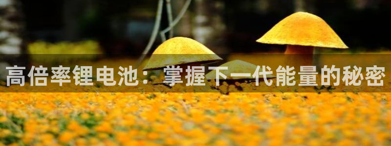 下载凯时AG旗舰厅首页