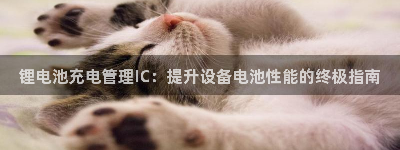 尊龙凯时旗舰厅百家乐下载