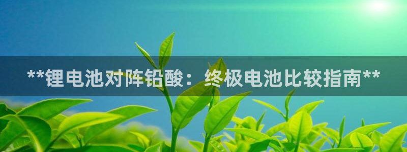 尊龙官网下载