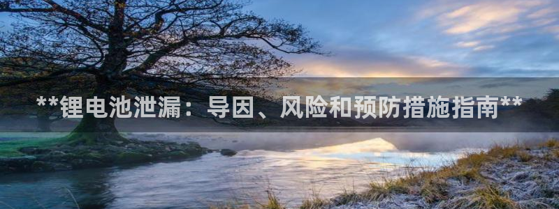 尊龙官方平台是正品吗