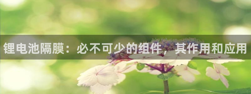 尊龙凯时充值不到账