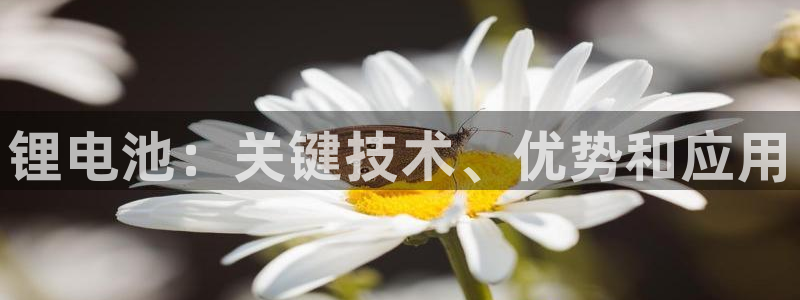 凯时官网app下载官方网站