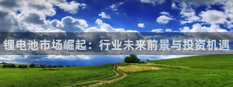 d88尊龙z6