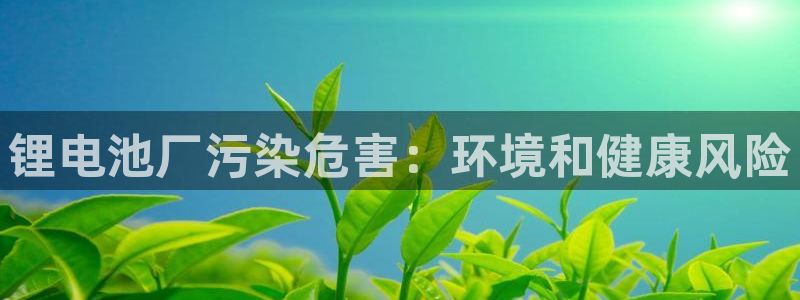 尊龙凯时充值不到账