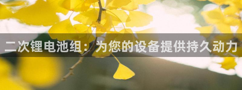尊龙app|首选agdaohang