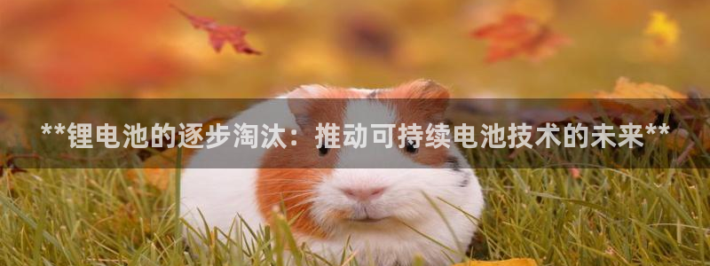 凯时k88最新