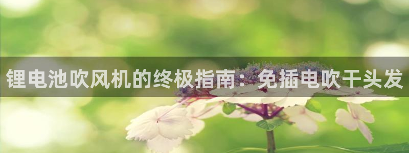 凯时kb88公司简介