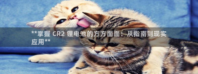 尊龙ag旗舰厅官网官方入口