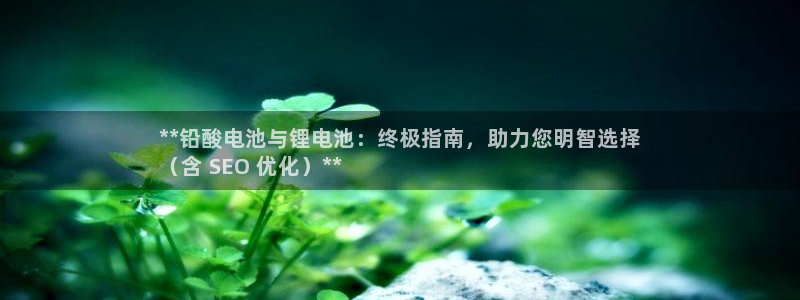 尊龙-人生就是博!