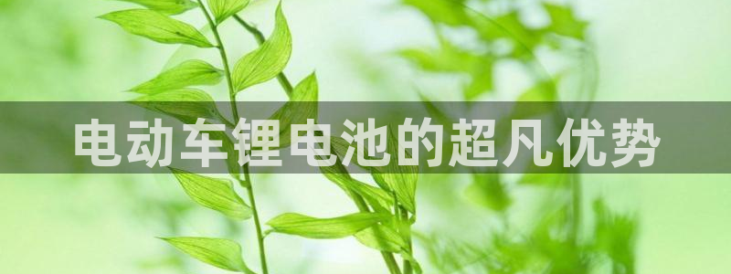 尊龙集团有限公司招聘