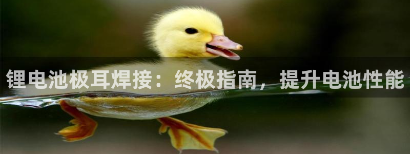 尊龙凯时处理未到账