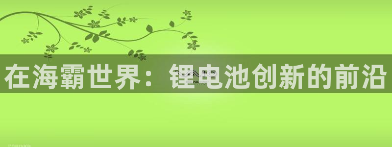 尊龙凯时网站怎么样