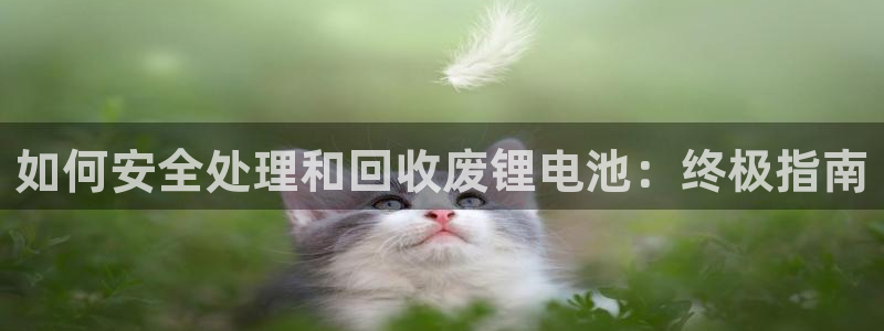 首页尊龙d88国际