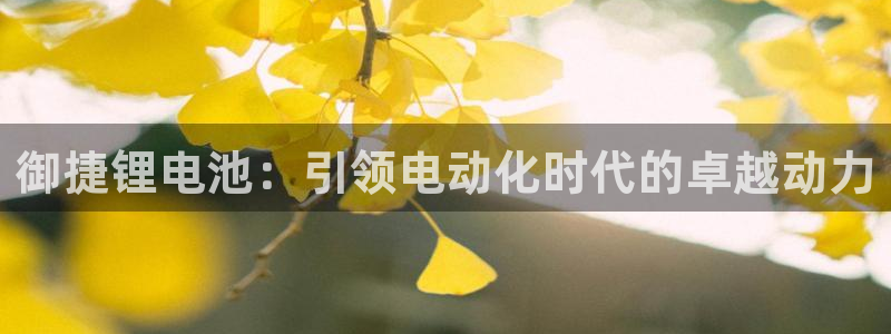 凯时官网手机版下载