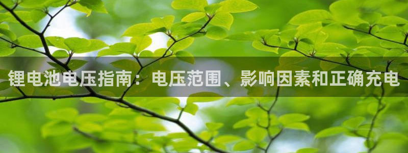 z6com尊龙凯时代理