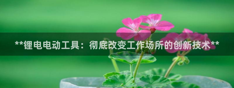 尊龙凯时百家乐手机下载