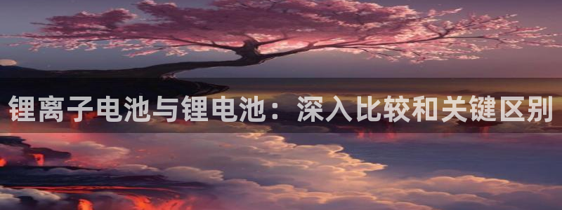 尊龙网站人生就是博：锂离子电池与锂电池：深入比较和关键区别